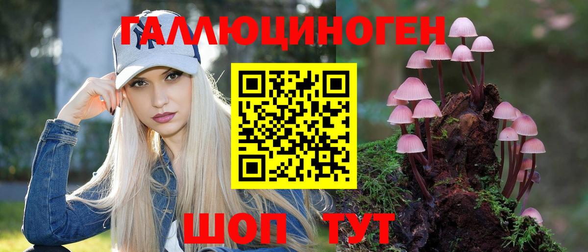 Псилоцибиновые грибы ЛСД Дивногорск